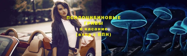 мдпв Остров