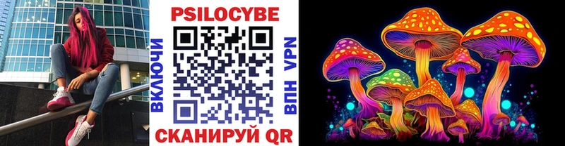 Псилоцибиновые грибы Psilocybe  ОМГ ОМГ онион  Хилок 