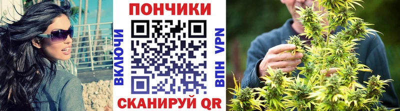 МАРИХУАНА план  Хилок 